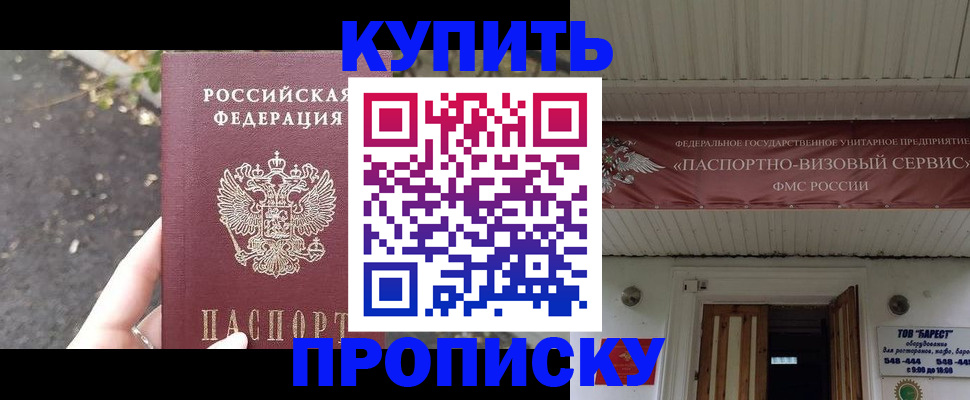 где прописаться в Донском